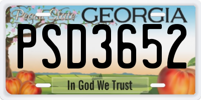 GA license plate PSD3652