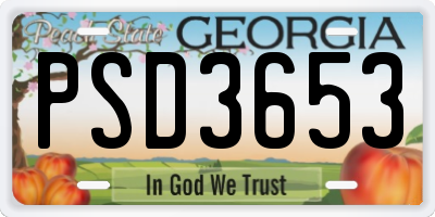 GA license plate PSD3653