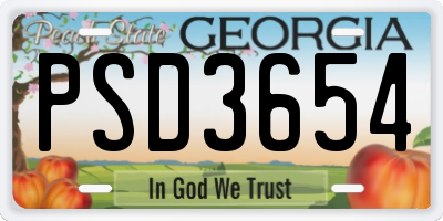 GA license plate PSD3654