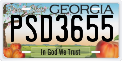 GA license plate PSD3655