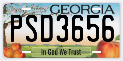 GA license plate PSD3656