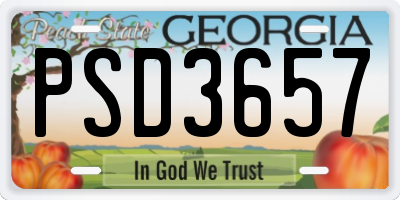 GA license plate PSD3657