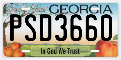 GA license plate PSD3660