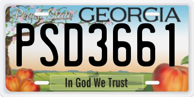 GA license plate PSD3661