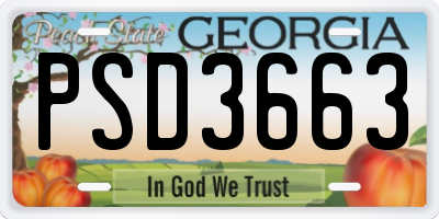 GA license plate PSD3663