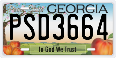GA license plate PSD3664