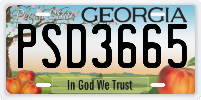 GA license plate PSD3665
