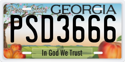 GA license plate PSD3666