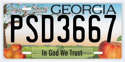 GA license plate PSD3667
