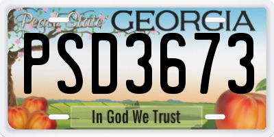 GA license plate PSD3673