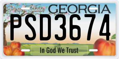 GA license plate PSD3674
