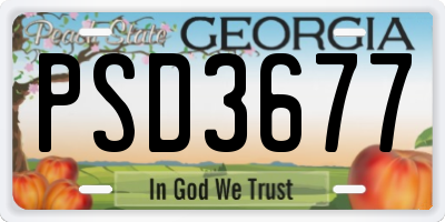 GA license plate PSD3677