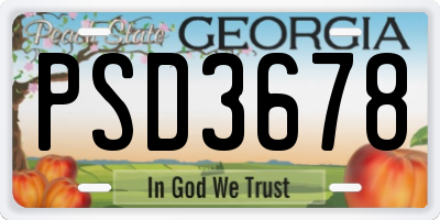 GA license plate PSD3678