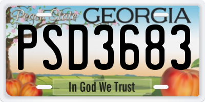 GA license plate PSD3683