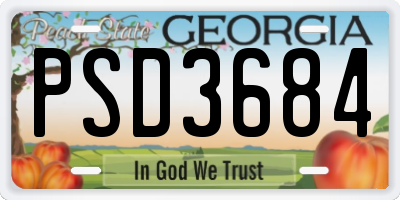 GA license plate PSD3684
