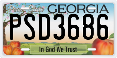GA license plate PSD3686
