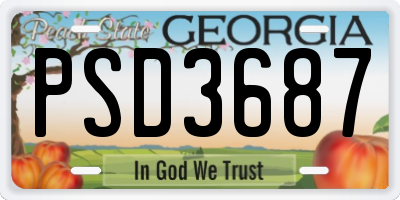 GA license plate PSD3687