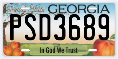 GA license plate PSD3689