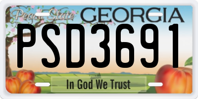 GA license plate PSD3691