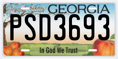GA license plate PSD3693
