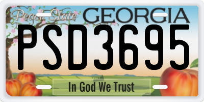 GA license plate PSD3695