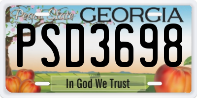 GA license plate PSD3698