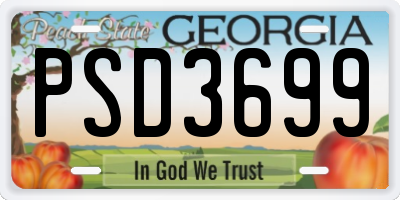 GA license plate PSD3699