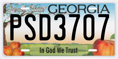 GA license plate PSD3707