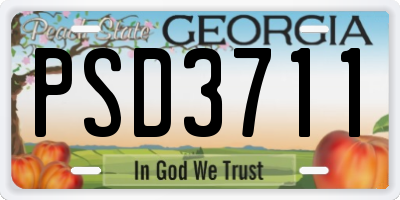 GA license plate PSD3711