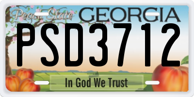 GA license plate PSD3712