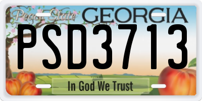 GA license plate PSD3713