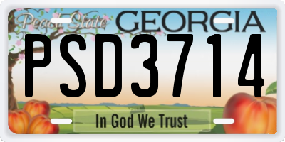 GA license plate PSD3714