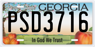GA license plate PSD3716