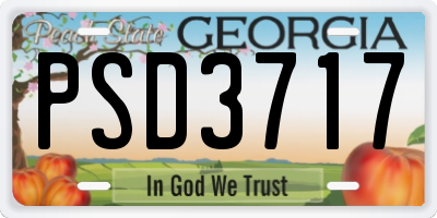 GA license plate PSD3717