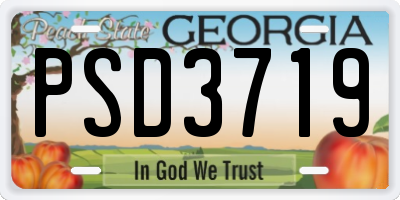 GA license plate PSD3719