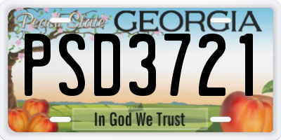 GA license plate PSD3721