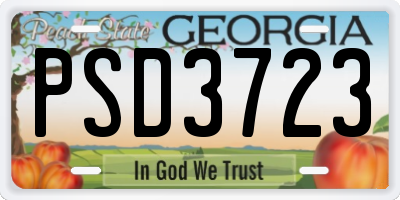 GA license plate PSD3723