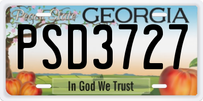 GA license plate PSD3727