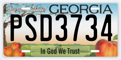 GA license plate PSD3734