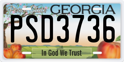 GA license plate PSD3736