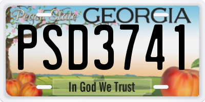 GA license plate PSD3741