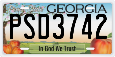 GA license plate PSD3742