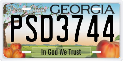 GA license plate PSD3744
