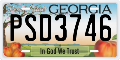 GA license plate PSD3746