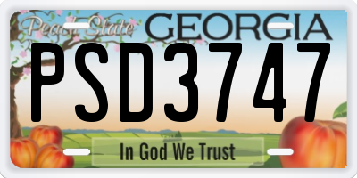 GA license plate PSD3747