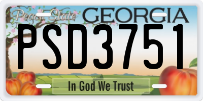 GA license plate PSD3751