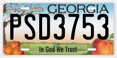 GA license plate PSD3753