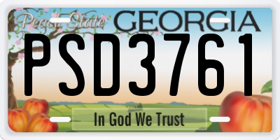 GA license plate PSD3761