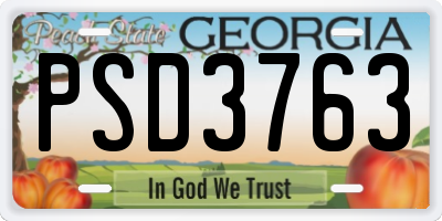 GA license plate PSD3763
