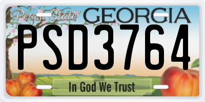 GA license plate PSD3764
